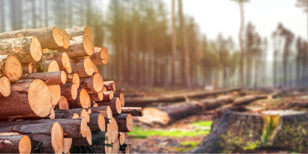 Tips voor de hulpverlener: zó zie je binnen een paar weken door de bomen het bos weer